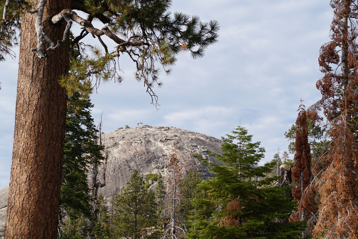 Lo mejor de la Costa Oeste en 10 momentos - EEUU