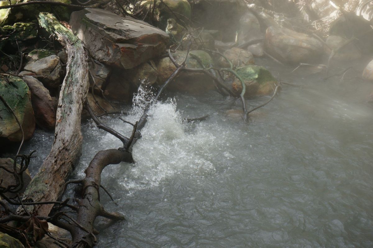 Rincón de la Vieja | Fumarolas, cataratas y volcanes